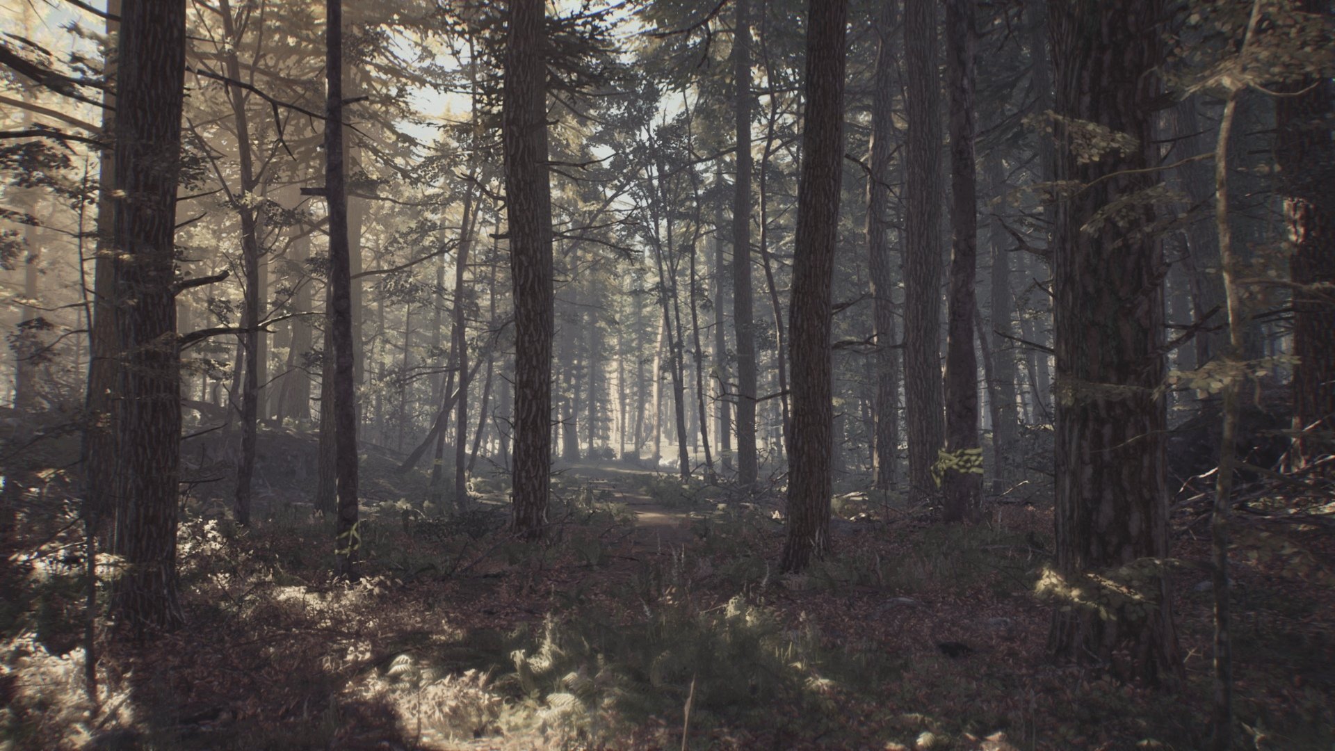 Blair Witch